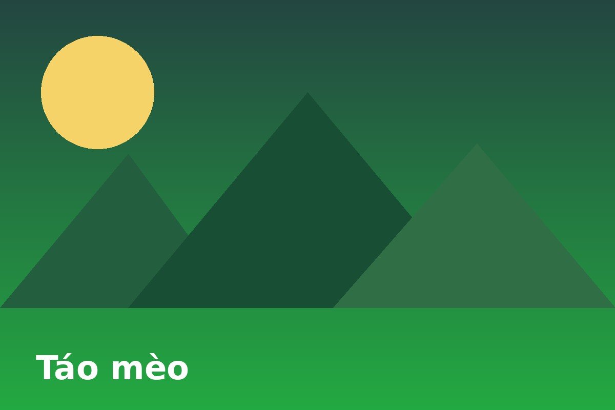 Quà tặng Tây Bắc