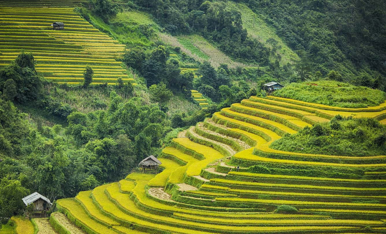 Ruộng bậc thang Lào Cai Yên Bái